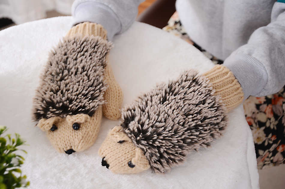 Women's Full Finger Cartoon Hedgehog Winter Korean Gloves