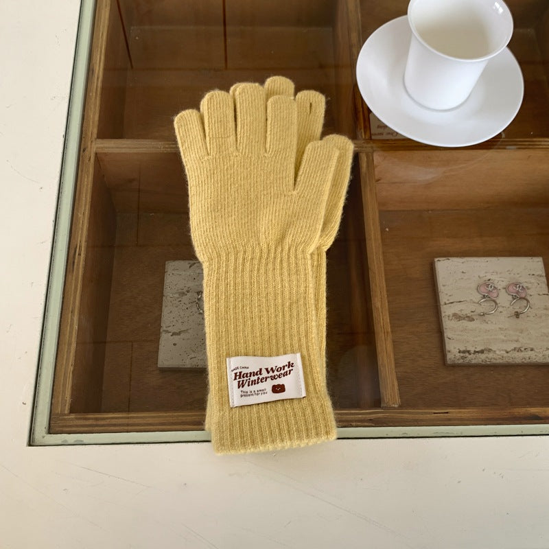 Women's Knitted Long Winter Five Finger Warm Gloves