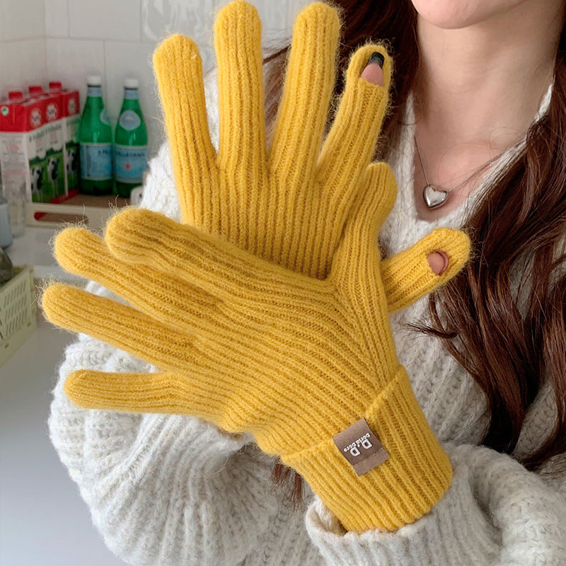 Women's Winter Wool Touch Screen Warm Korean Gloves